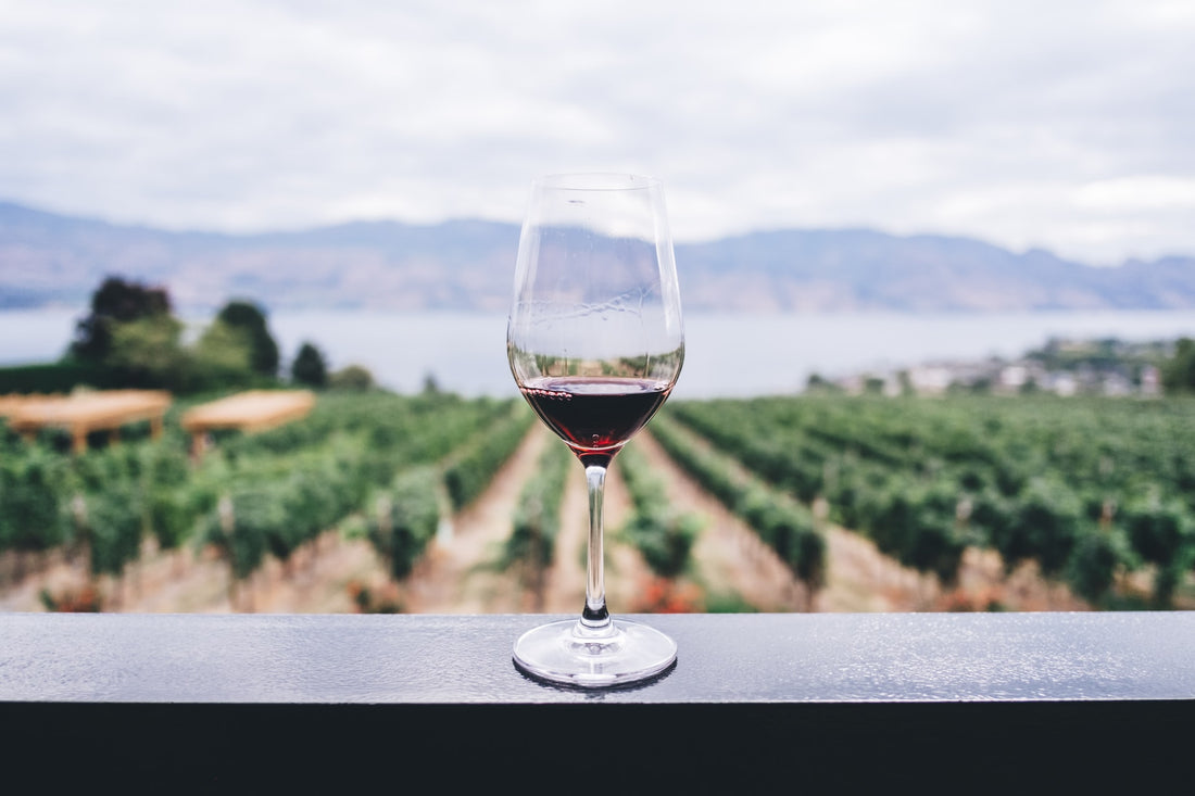 The Benefits of Drinking Red Wine