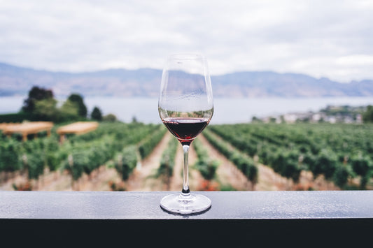 The Benefits of Drinking Red Wine